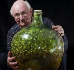 50-year-old terrarium breaks records, and it’s not from Dubai