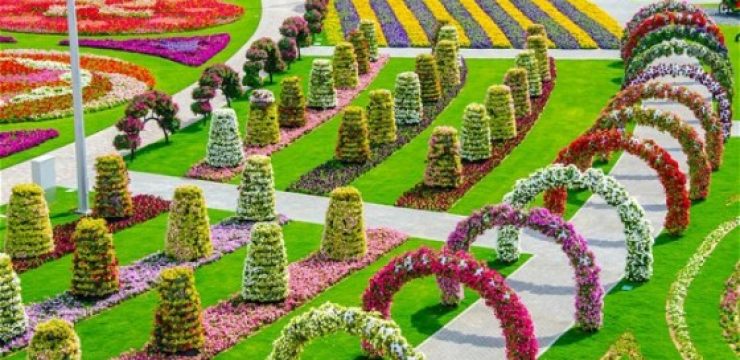 Dubai-Miracle-Garden.jpg