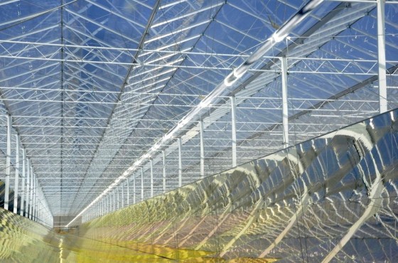 GlassPoint, Oman solar, solar pilot in Oman, Petroleum Development Oman, Amal West Oilfield, desert solar, clean tech, Middle East, Gulf solar projects