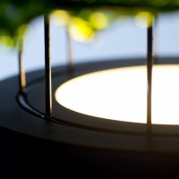 Green lighting, Israeli designers, green design from Israel, seaweed lamp, Marine Light, Nir Meiri,