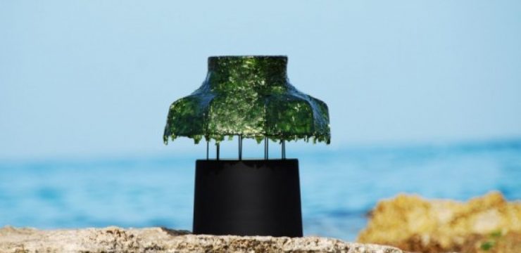 Seaweed-lamp-by-Nir-Meiri-05.jpg