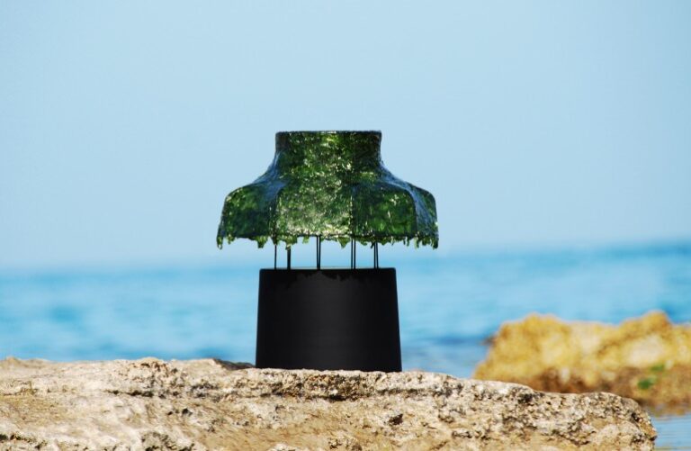 Nir Meiri’s Marine Light is a Sustainable Seaweed Lamp You Can Eat