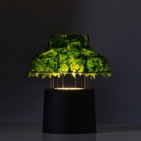 Green lighting, Israeli designers, green design from Israel, seaweed lamp, Marine Light, Nir Meiri,