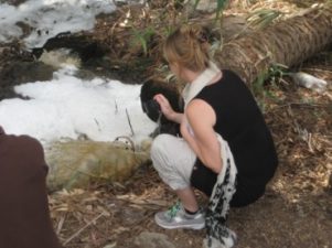 The Real Jordan River Will Flow from the Sea of Galilee Once Again The Real Jordan River Will Flow from the Sea of Galilee Once Again