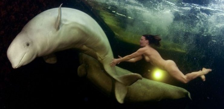 Beluga-Whale-Naked-Biologist.jpg