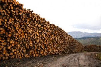 5 of Turkey’s Most Unsustainable Development Projects