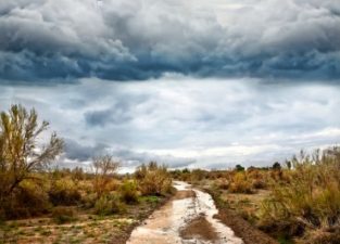 Higher CO2 Levels are Greening the Middle East