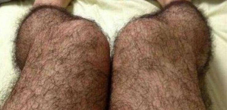 hairy-leg-stockings.jpg