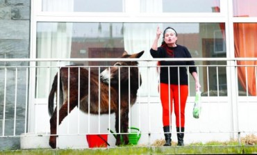 Lola the Donkey from Middle Eastern Play Runs Afoul of Belgian Police