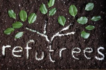 Refutrees Scratches Eco and Social Itches with Refugee Projects