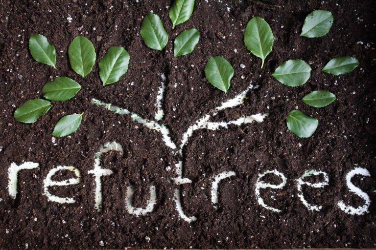 Refutrees Scratches Eco and Social Itches with Refugee Projects