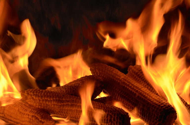 Tapping Middle East Biogas Potential in Lebanon and Pakistan