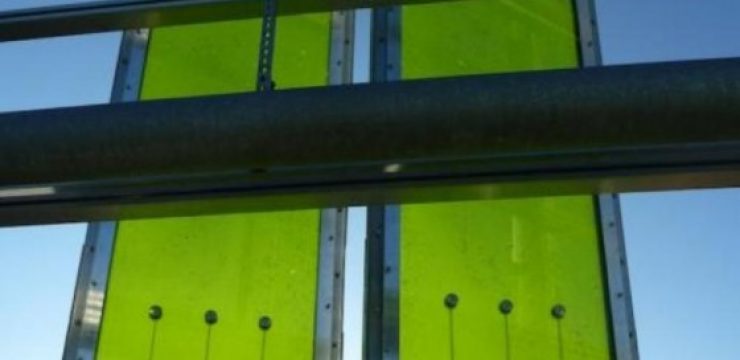 algae-power-panel.jpg
