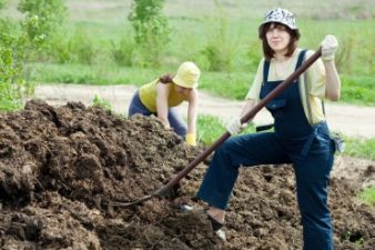 20 Goofy Ingredients You Can Actually Compost