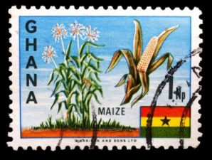 Abu Dhabi Social Responsibility Firm Plans Organic Farm in Ghana