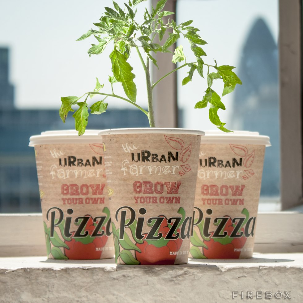 grow your own veggie pizza