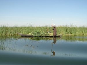 Iraq’s Newly Protected Marshes a Huge Conservation Turnaround