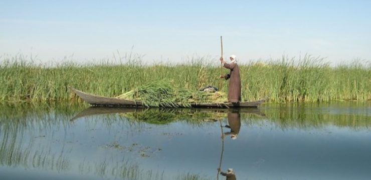 iraq-marshlands.jpg