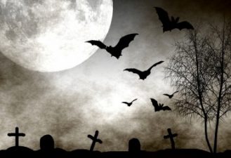 Bats Blamed for Deadly Middle East MERS Respiratory Virus