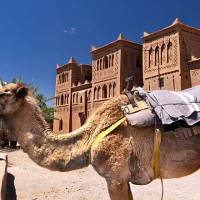 Morocco, travel, Hole in the Donut Cultural Travel, photo essay, travel photos, Fez, Marrakech, Volubilis, Sahara Desert