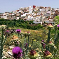 Morocco, travel, Hole in the Donut Cultural Travel, photo essay, travel photos, Fez, Marrakech, Volubilis, Sahara Desert