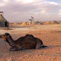 Morocco, travel, Hole in the Donut Cultural Travel, photo essay, travel photos, Fez, Marrakech, Volubilis, Sahara Desert