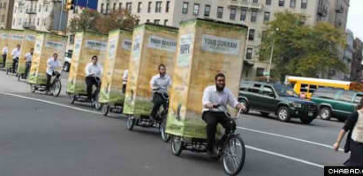 Pedi-Sukkah.jpg
