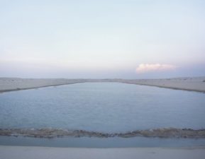 Wildlife Thrive at Flooded ‘Arabian Canal’ in Dubai Desert