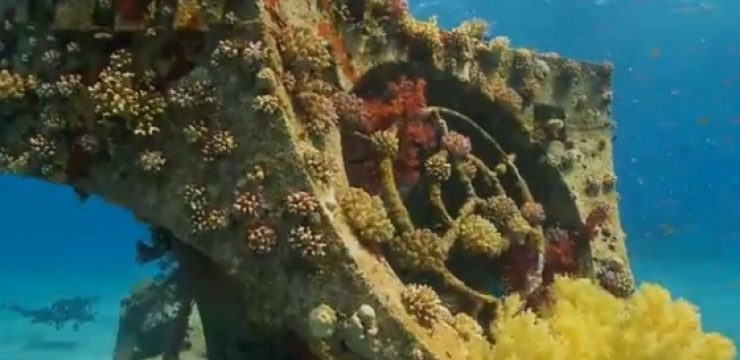 artificial-reef-tamar-israel.jpg