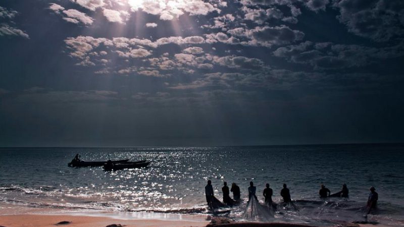 Dubai overfishing: 13 years after Tafline’s warning