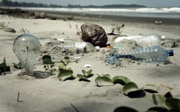 Oceans Spiralling Downward, Threatening Life on Earth