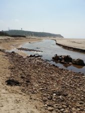 Heavily polluted Israeli stream cuts beach in half