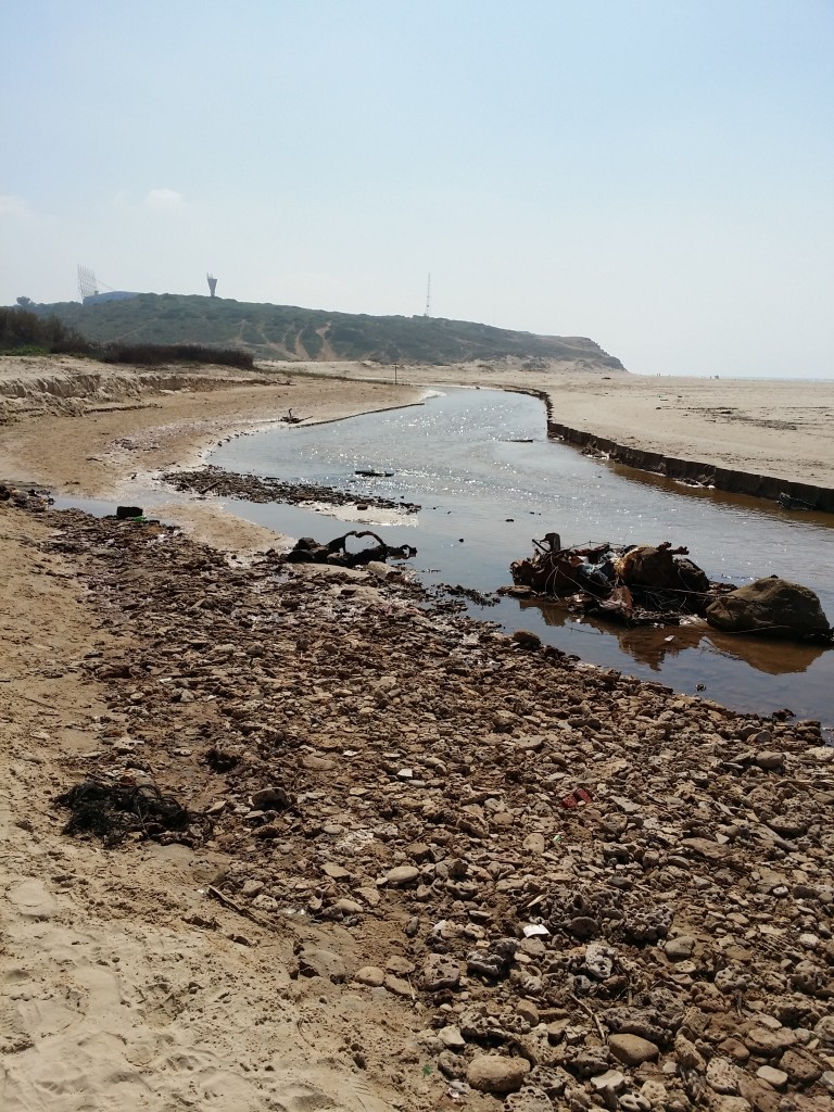 Heavily polluted Israeli stream cuts beach in half
