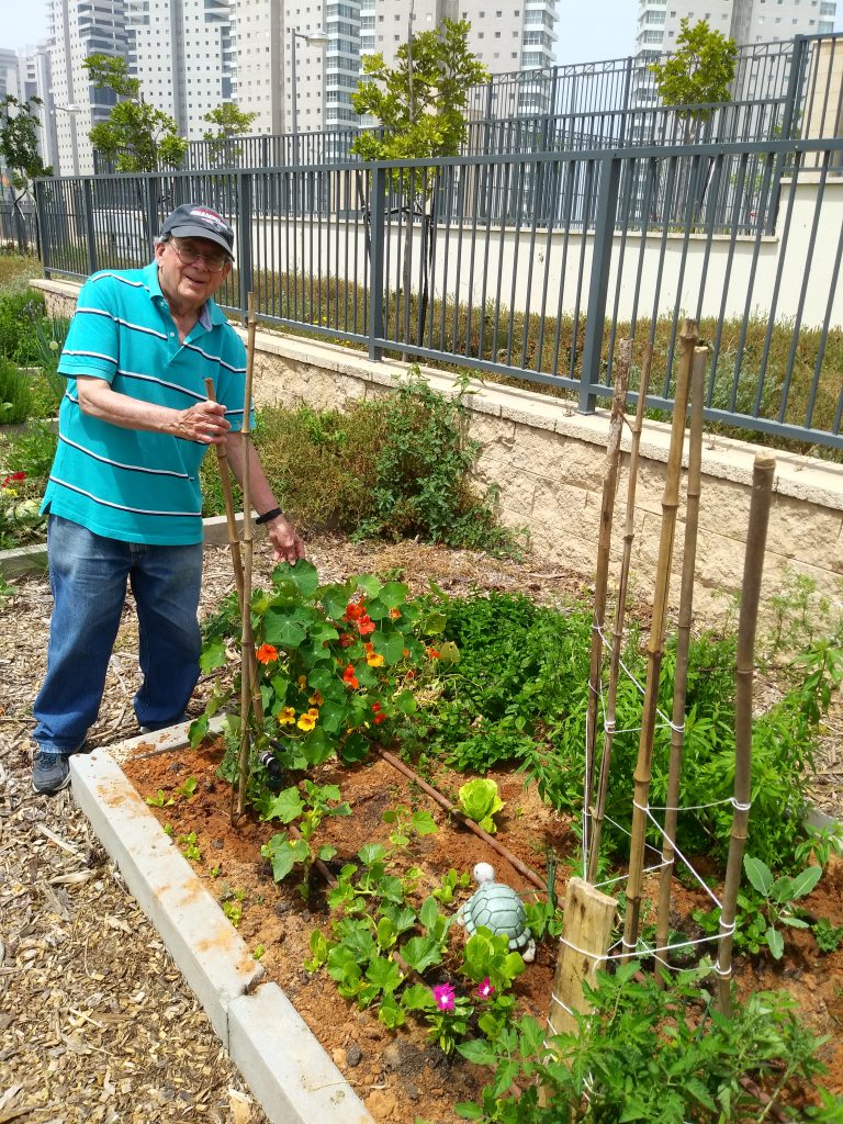 My community organic veggie garden’s growing up well in Israel