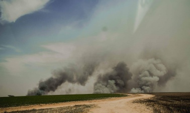 The Eco-Disaster from Gaza that Nobody’s Talking About