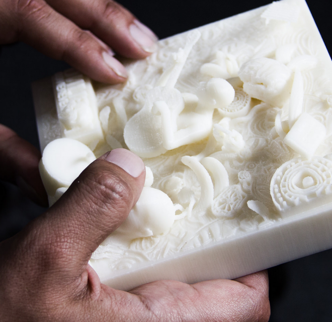 3D printed photo Pirate3D