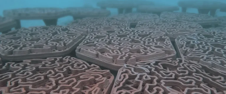 Printing coral reefs in Abu Dhabi