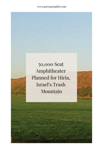 Watching Beyonce on a trash mountain