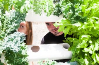 Why Gaza needs hydroponics and aquaponics for food security