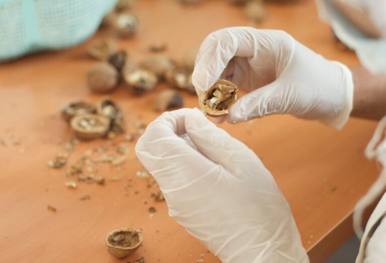 Morocco celebrates its certified nuts in 11th annual Asni Festival!