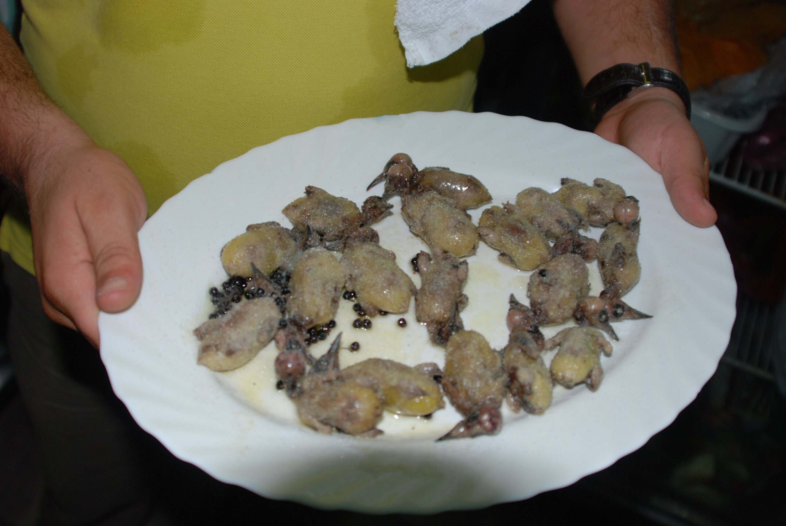 Millions of birds are killed in Cyprus to satisfy the demand of ambelopoulia, a dish of songbirds. Image via Wikipedia.