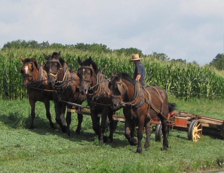Small scale farming twice as old as we thought
