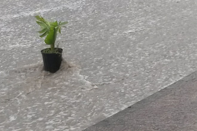 Amman Jordan flooding