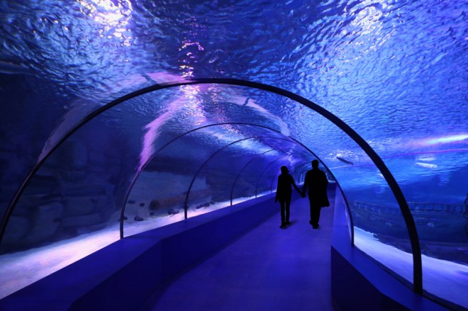 Antalya Aquarium, Bahadir Kul Architects, Turkey, Turkish Riviera, design, daylighting, Mediterranean Sea, scuba diving, marine life, Turkey
