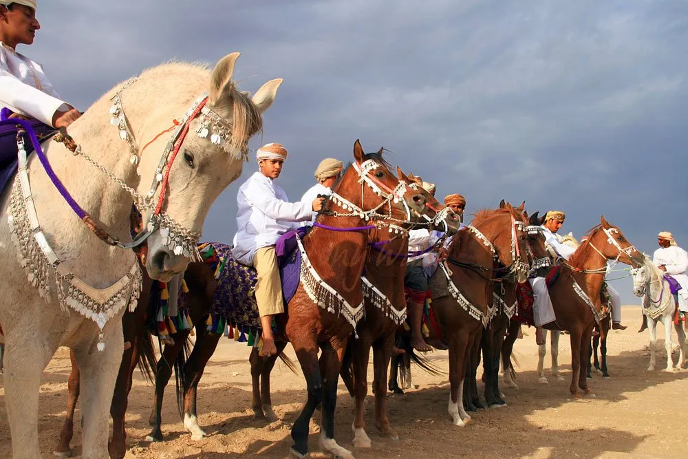 Arab Horses from the book ‘Walking Through History’