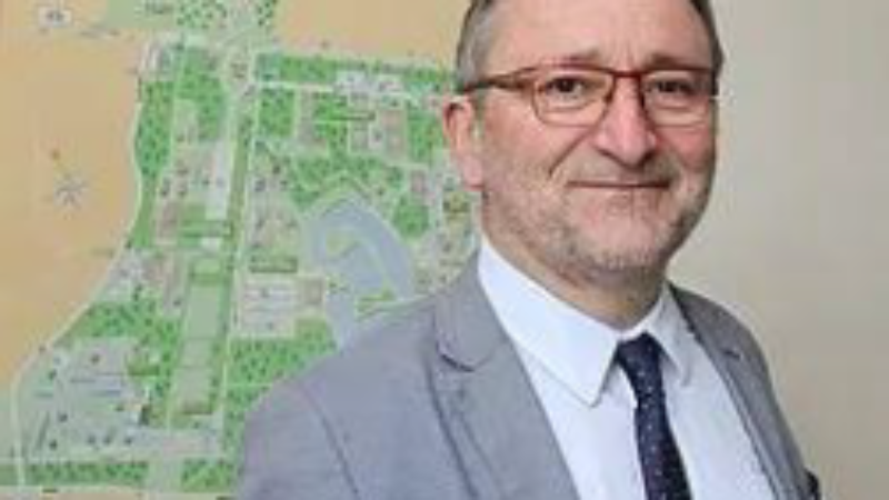 How Termites and Ants Built the Tropics’ Best Soil