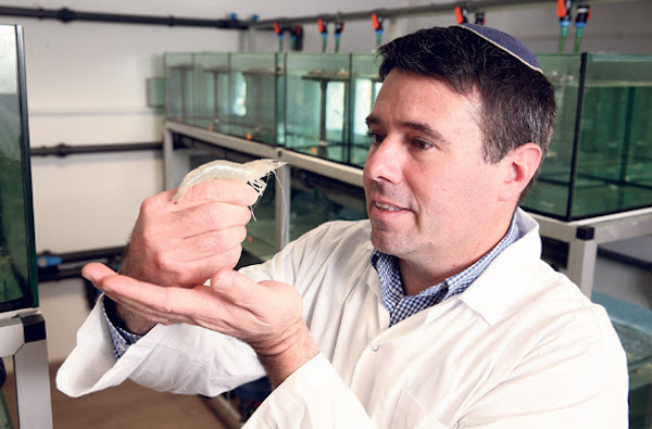 Avi Schroeder Technion, cures shrimp virus and cancer