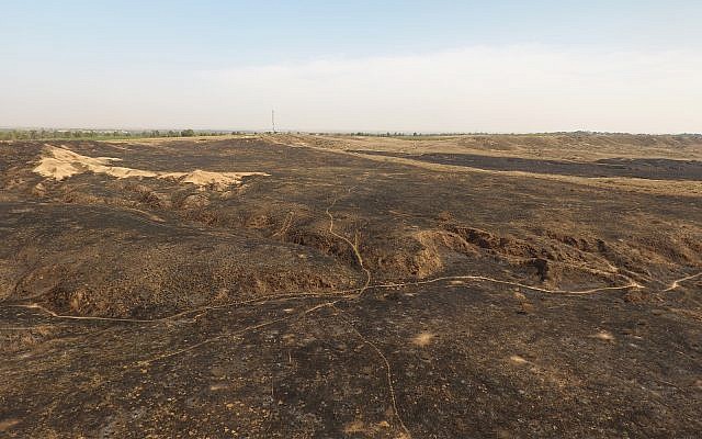 Be'eri Nature Reserve after kite fires