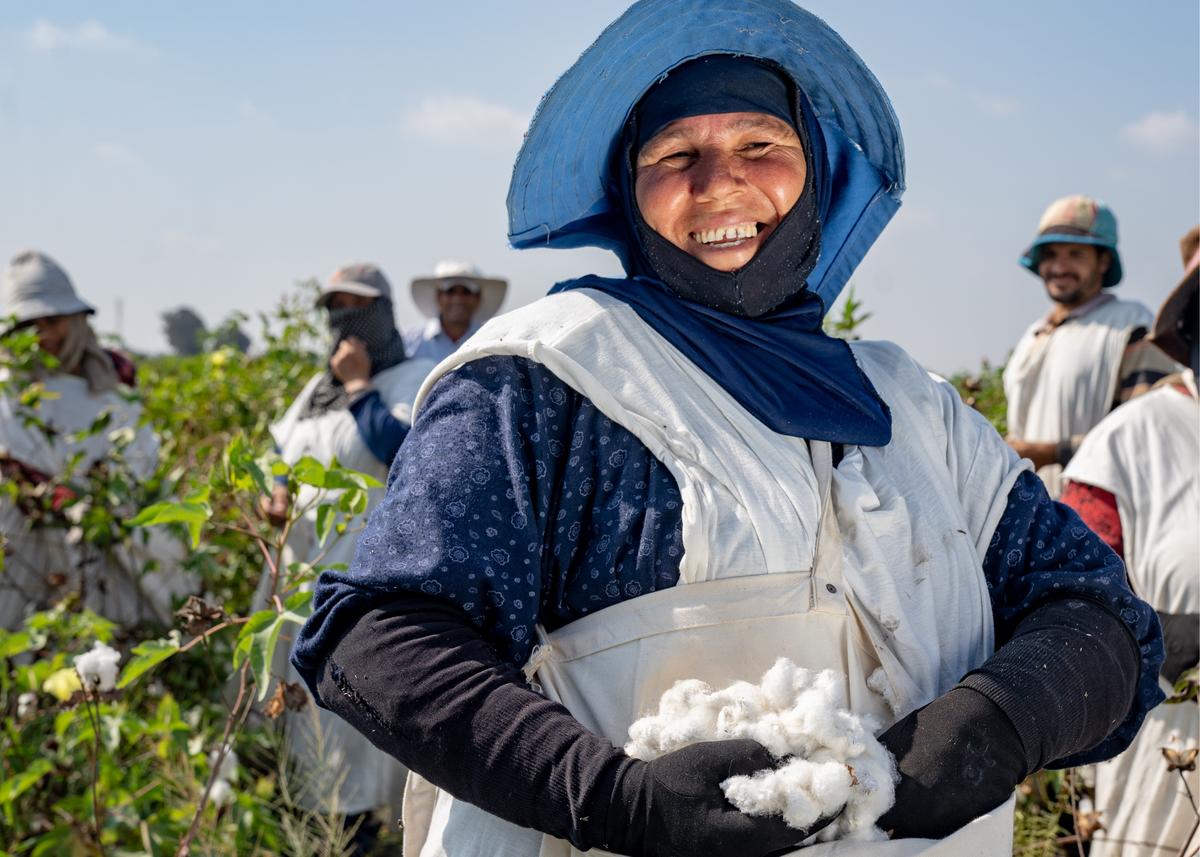 ethical cotton in Egypt