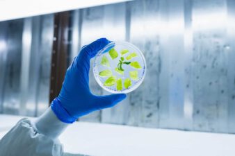 BioBetter accelerates molecular farming in tobacco plants